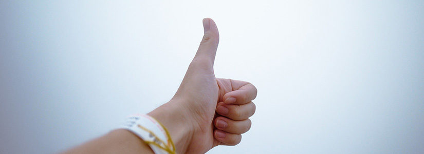 Uli Hoeneß über die AfD: er hat Recht!